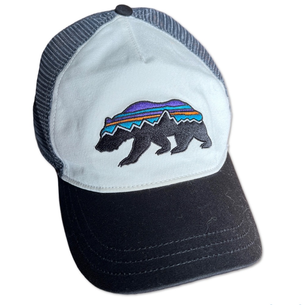 Patagonia Hat
